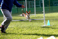 A31I3310_7am - Agility Training Games with Ruth