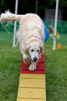 LM6A0426_330pm - Agility for Fun with Sarah