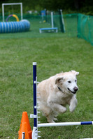 LM6A0467_330pm - Agility for Fun with Sarah