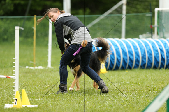 ED5R8836_11am - Agility Crosses with Bridget & Agility Requests