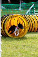 A31I3577_7am - Agility Training Games with Ruth