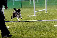 A31I3579_7am - Agility Training Games with Ruth