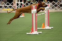 20221009-0516_Agility - Time 2 beat