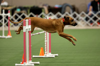 20221009-0518_Agility - Time 2 beat