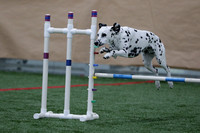 Agility PM - Unknown 2