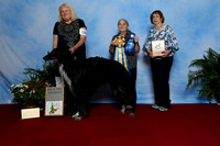 Rally & Obedience Awards