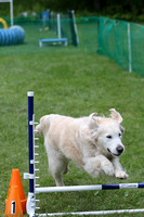 LM6A0468_330pm - Agility for Fun with Sarah