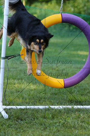 LM6A2375_7am - Agility Handling Novice Sequences with Sarah