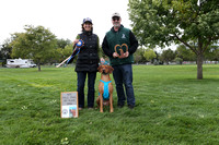 Lure Coursing Awards
