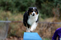 KevinAgility Request