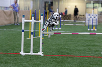 LM6A9395_Agility PM - Unknown 2