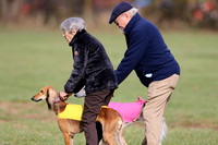 IWAGS Lure Coursing Nov 13-14 2021