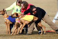 UCBSC Lure Coursing